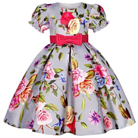 2-10Y Flower Print Girdling Bowknot Bubble Sleeve Princess Dress Wholesale Kids Boutique Clothing KDV492893