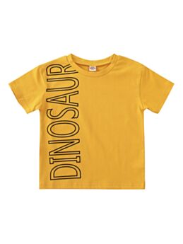 Kid Boy Dinosaur Letter T-shirt