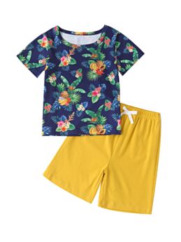 Two Pieces Girl Casual Set Fruit & Flower Print T-shirt With Shorts 