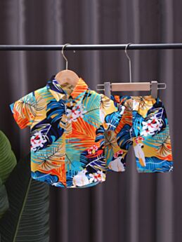 Tropical Print Wholesale Toddler Boy Clothes Sets 210911029