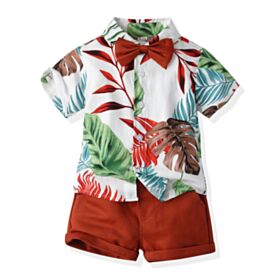 3M-4Y Toddler Boy Sets Short-Sleeved Floral Print Single-Breasted Lapel Top And Shorts Wholesale Toddler Boy Clothes V5923021500001