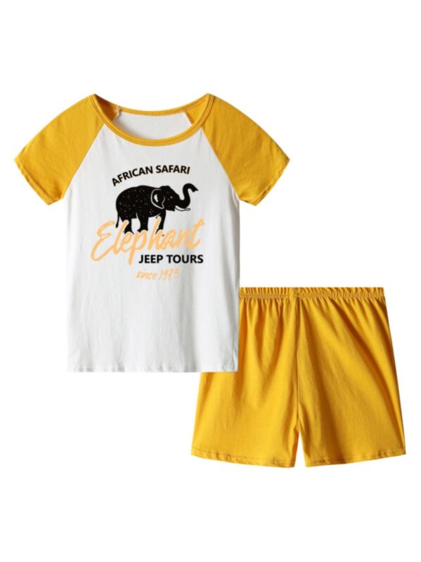 2-Piece Baby Toddler Boy Color Blocking Homewear Set