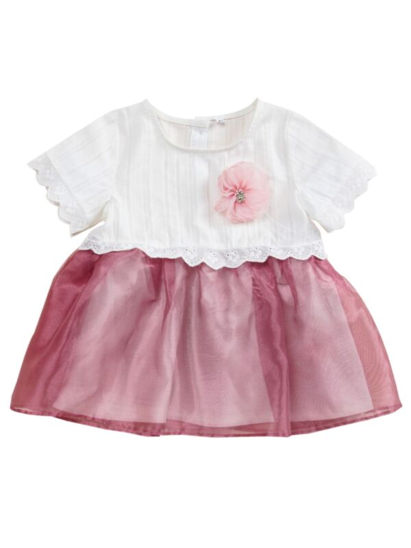 Baby Girl Eyelet Flower Princess Dress