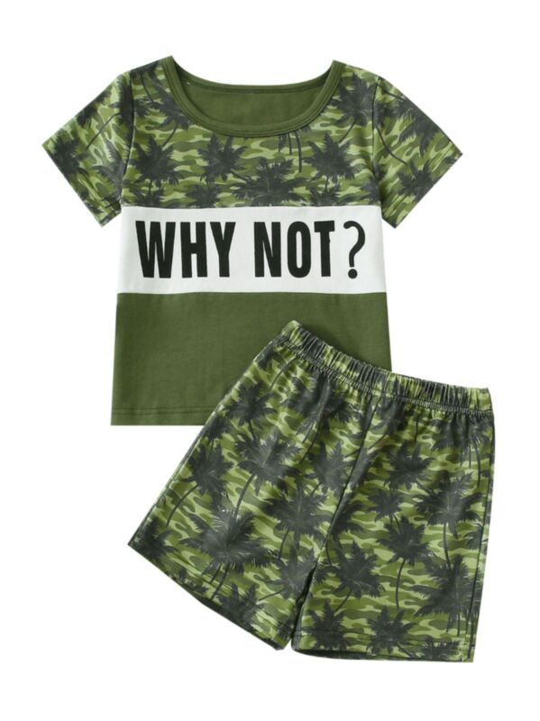 2 Pieces Little Boy Hawaii Style Set Why Not Tee Matching Shorts 
