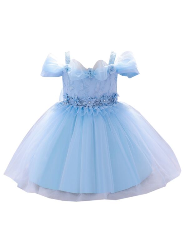 Baby Girl Embroidered Beaded Flower Mesh Princess Dress