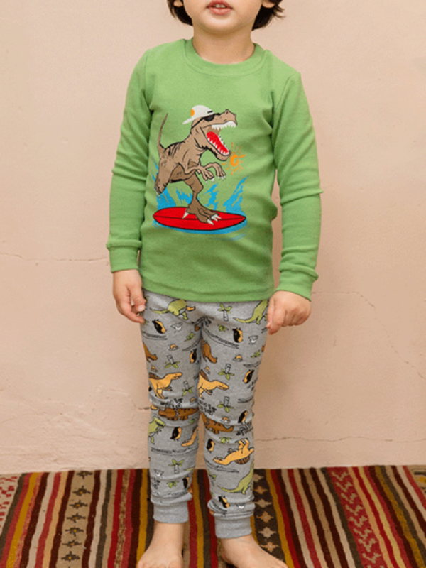 Two-Piece Kid Boy Dinosaur Loungewear Set Top Matching Animal Pants