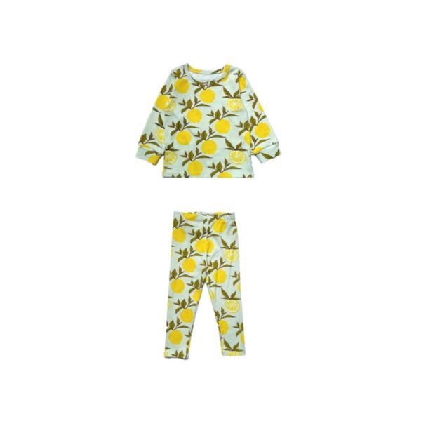 9M-6Y Toddler Animal Lemon Long Sleeve Nightwear Sets Wholesale Boutique Clothing KSV387280