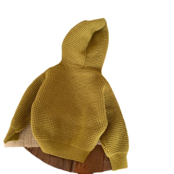 18M-6Y Toddler Girl & Boy Long Sleeve Solid Color Waffle Hooded Top Wholesale Toddler Clothing KTV591294