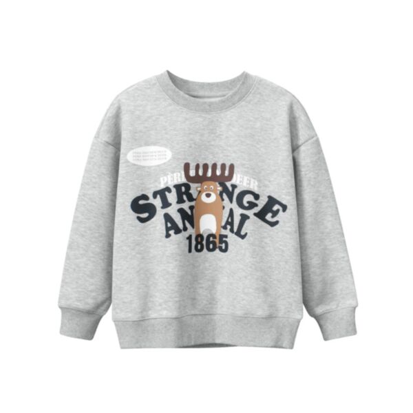 5-14Y Letter And Dear Print Long Sleeve Round Neck Gray Pullover Wholesale Kids Boutique Clothing KTV492282