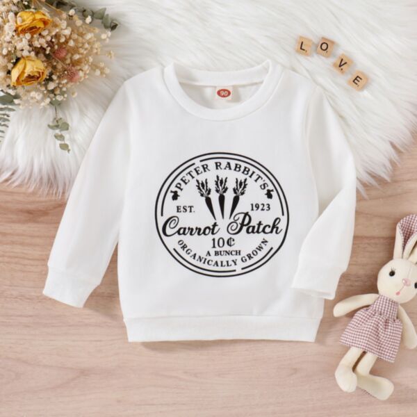 9M-5Y Bubby Rabbit Carrot Round Print Long Sleeve Pullover Wholesale Kids Boutique Clothing KTV493682
