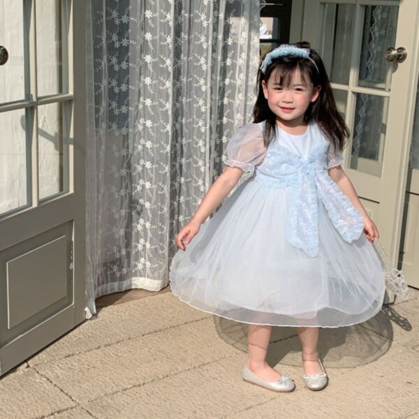3-8Y Kids Girl Short-Sleeved Large Bow Mesh Dress Wholesale Kid Clothing Vendors KDV591702