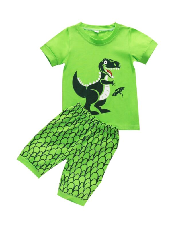 2-Piece Little Boy Pajamas Set Dinosaur Pattern Top Matching Shorts 