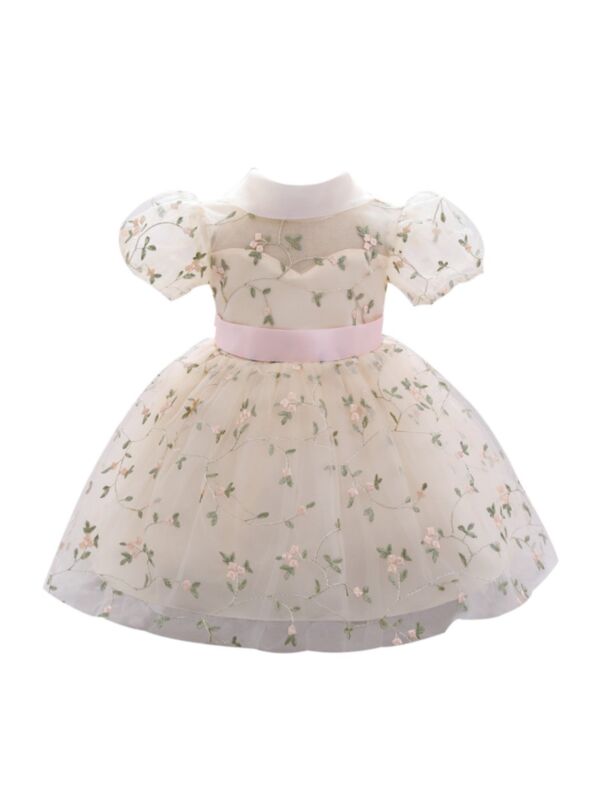 Kid Girl Embroidery Flower Puff Sleeve Party Dress 