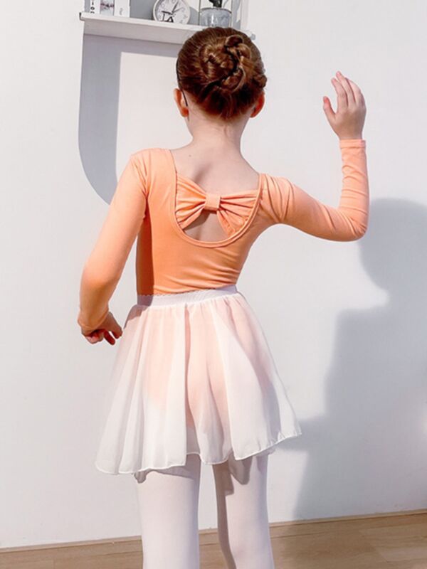 Wholesale Kid Girl Ballet Clothes Sets Long Sleeve Bodysuit With Chiffon Skirts 210814663