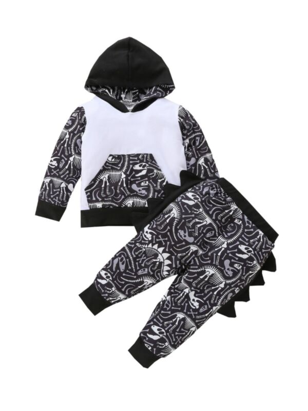 Little Boys Clothes Sets Dino Fossil Print Hoodie & Pants 210916468