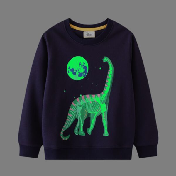 18M-7Y Earth And Dinosaur Print Long Sleeve Pullover Wholesale Kids Boutique Clothing